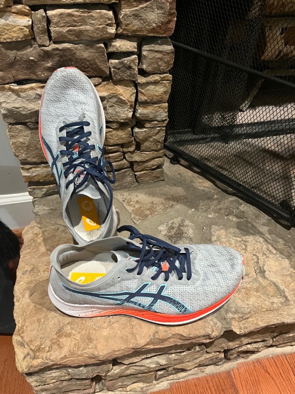 Asics EvoRide 2 Celebration of Sport Running Shoes Glacier Grey